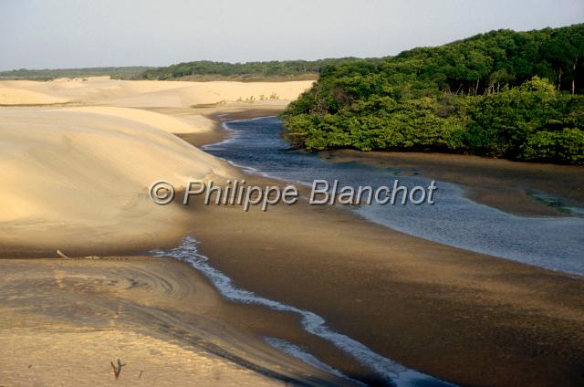 bresil maranhao 02.JPG - DunesRio ParnaibaMangroveDelta de ParnaibaNordesteMaranhaoBrésil